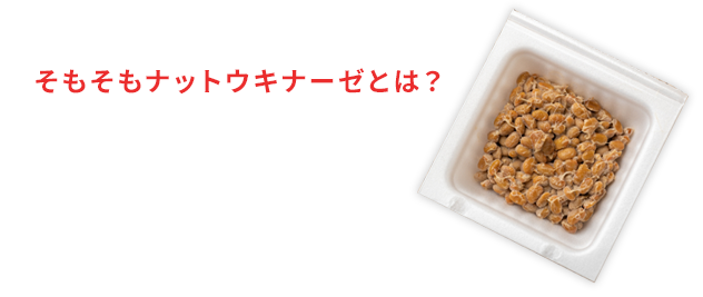 骨粗しょう症とビタミンK、ナットウキナーゼの関係